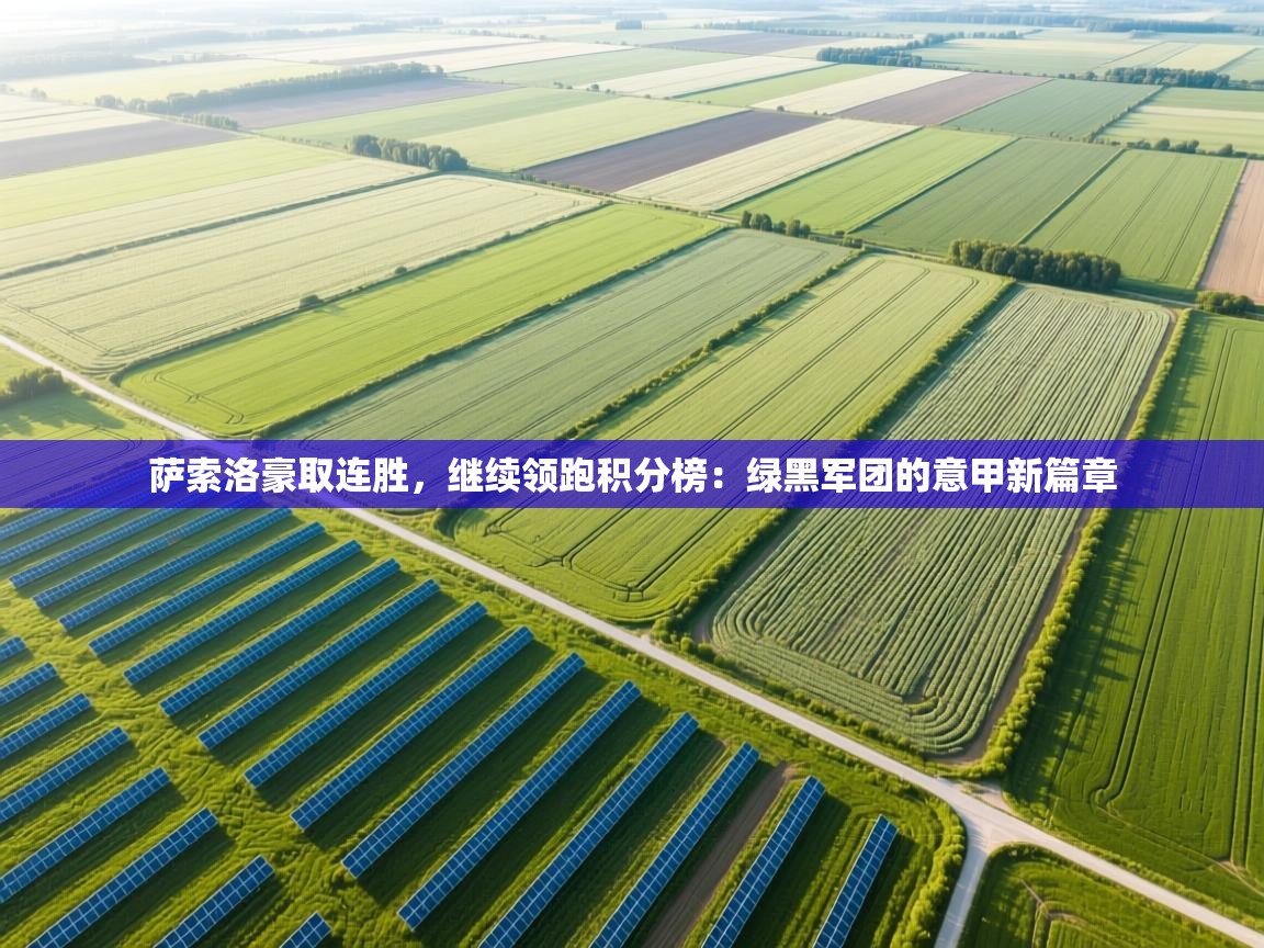 萨索洛豪取连胜，继续领跑积分榜：绿黑军团的意甲新篇章  第1张