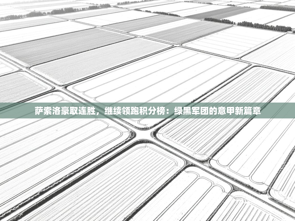萨索洛豪取连胜，继续领跑积分榜：绿黑军团的意甲新篇章  第2张
