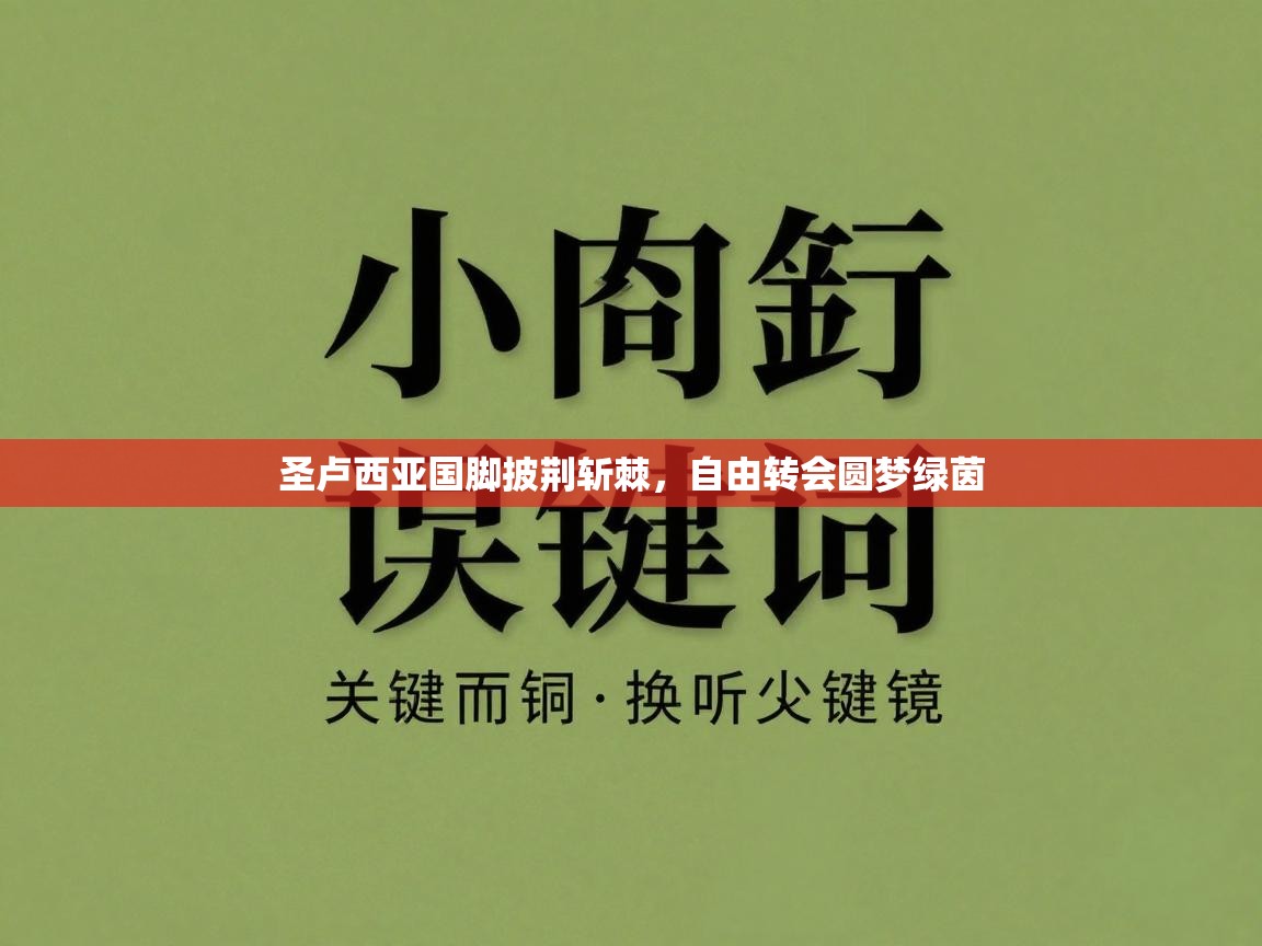 圣卢西亚国脚披荆斩棘，自由转会圆梦绿茵  第1张